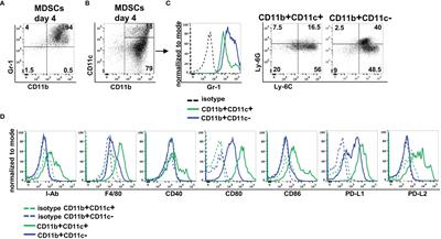 Graft-Versus-Host Disease Prevention by In Vitro-Generated Myeloid-Derived Suppressor Cells Is Exclusively Mediated by the CD11b+CD11c+ MDSC Subpopulation